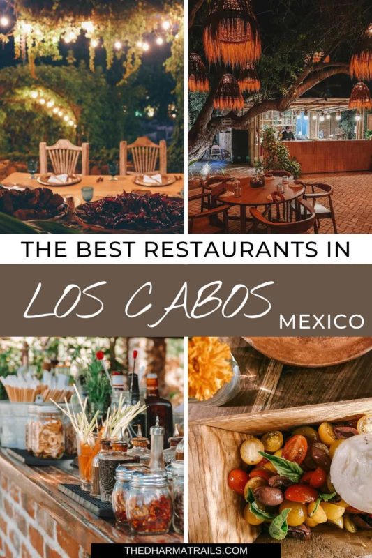墨西哥洛斯卡沃斯最好的餐厅