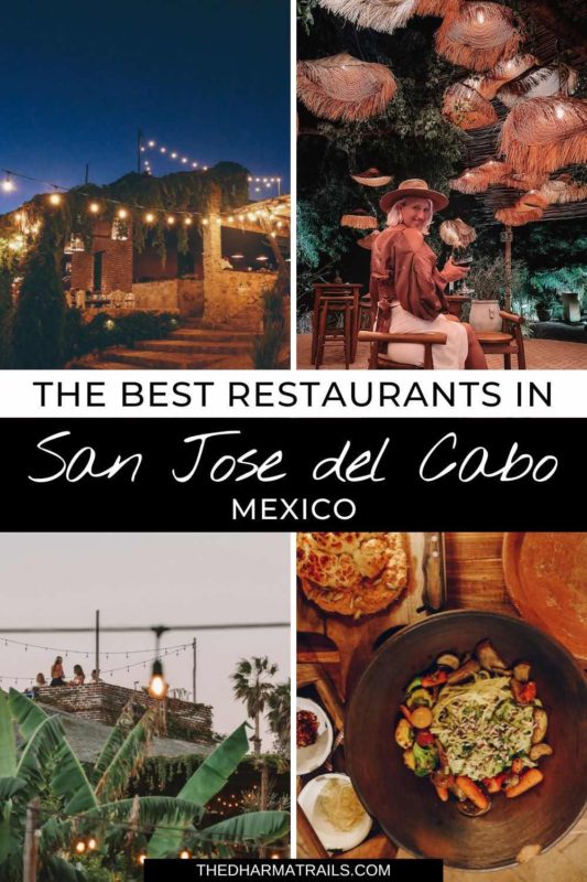 墨西哥圣荷西德尔卡波最好的餐厅